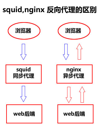 squid_nginx反向代理的区别